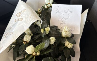 Cvijet za čistačicu